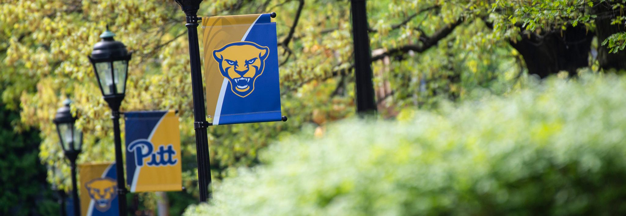 Pitt banners on campus